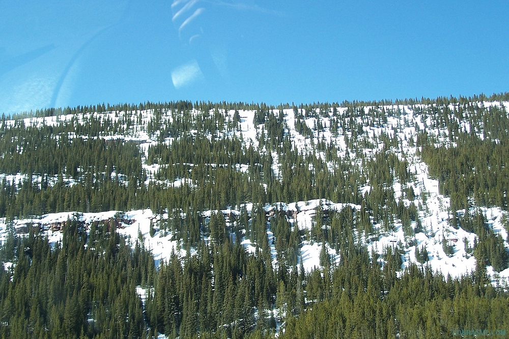 Colorado Rockies