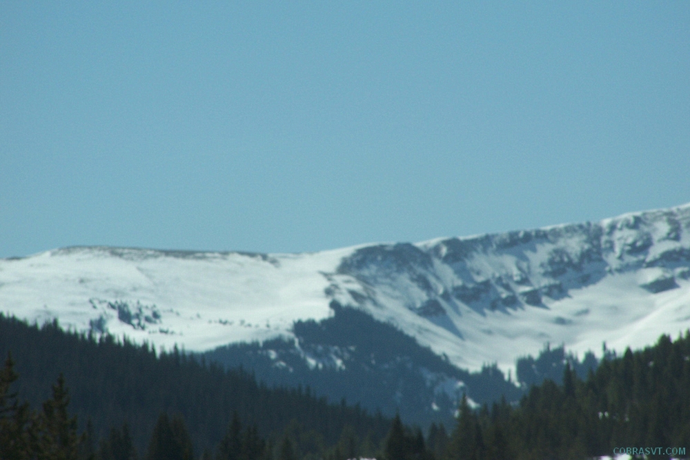 Colorado Rockies