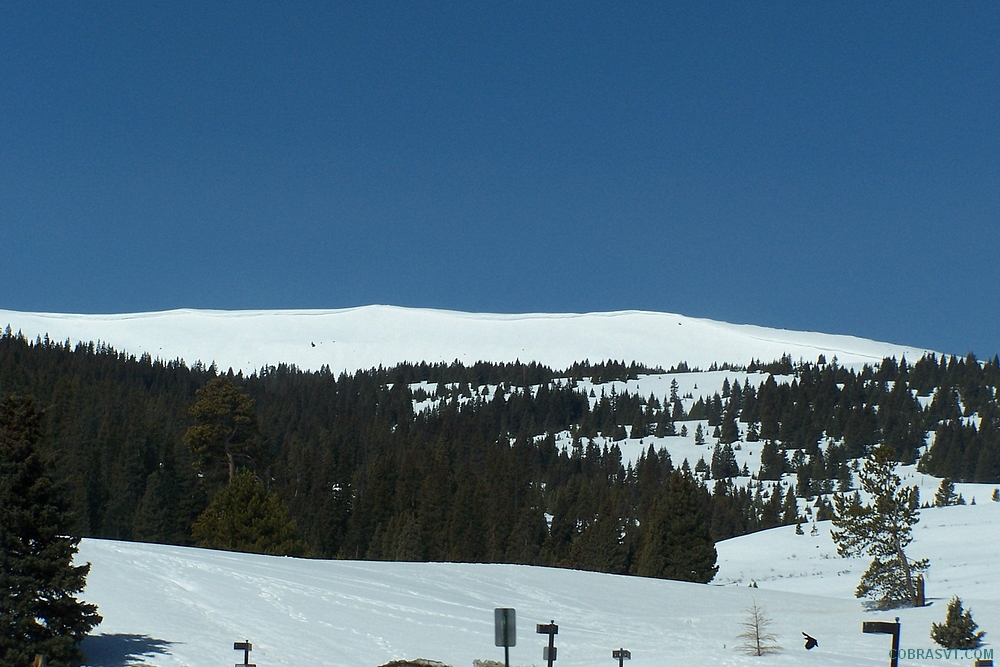 Colorado Rockies