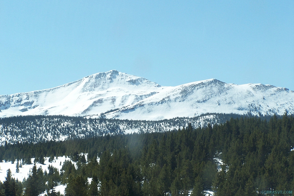 Colorado Rockies