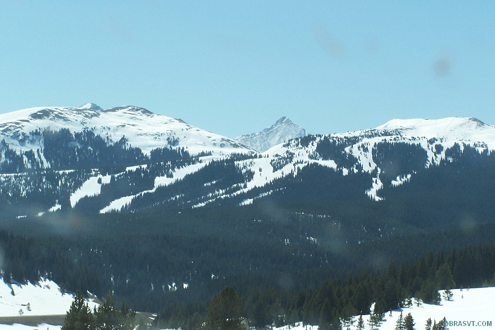 Colorado Rockies