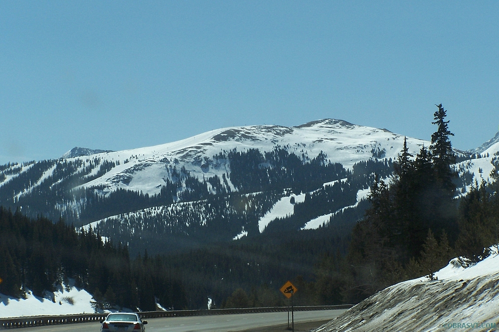 Colorado Rockies