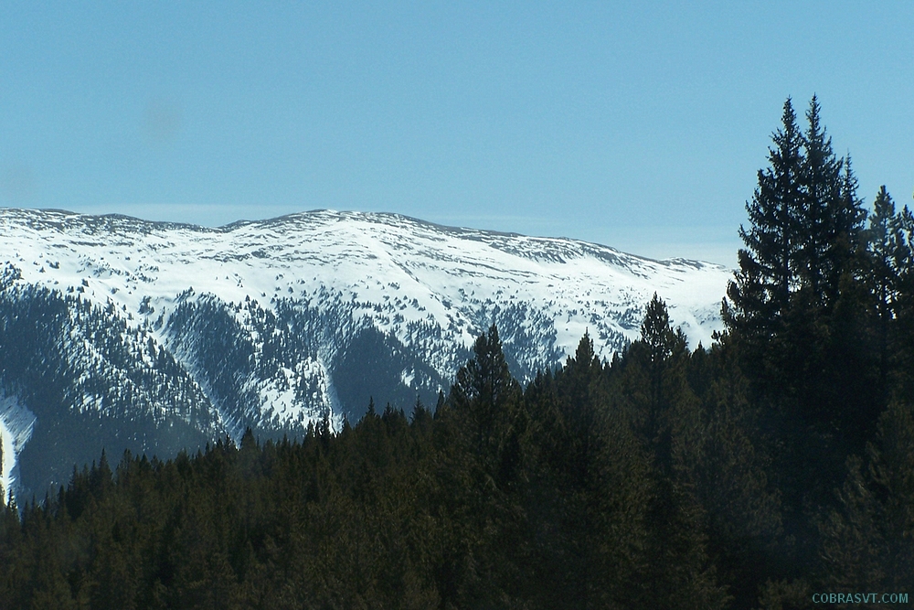 Colorado Rockies
