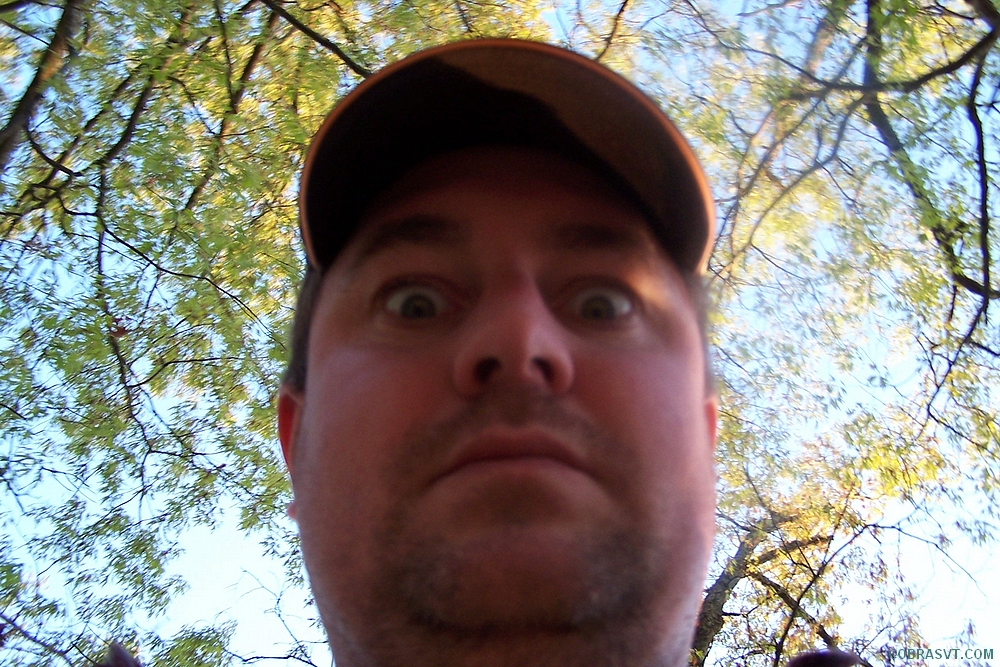Dork!